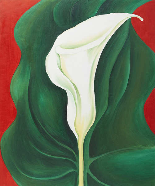 single-calla-lily-red (1).jpg